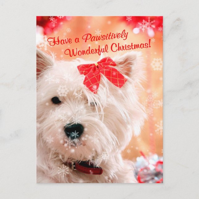 Cartão Postal De Festividades West Highland White Terrier Christmas Wishes (Frente)