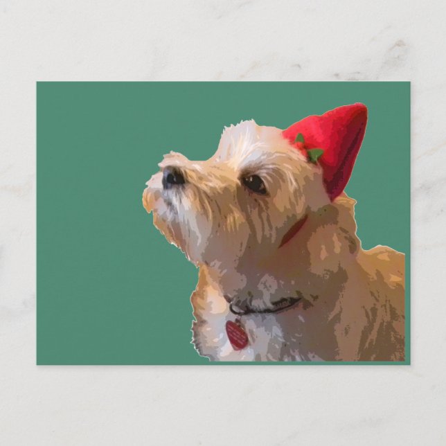 Cartão Postal De Festividades Westie in a Santa hat (Frente)
