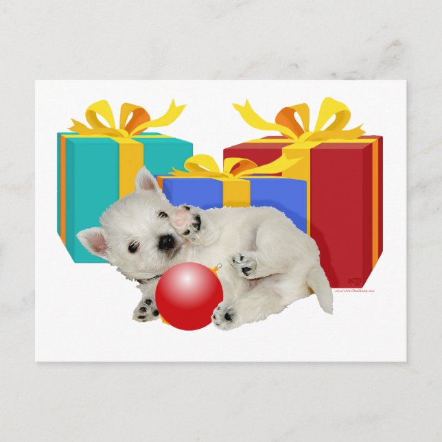 Cartão Postal De Festividades Westie Puppy Playtime de Natal (Frente)