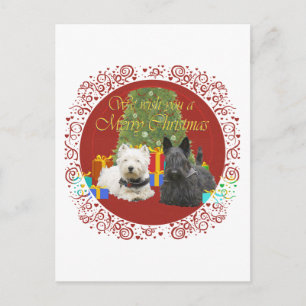 Cartão Postal De Festividades Westie & Scottie Merry Christmas