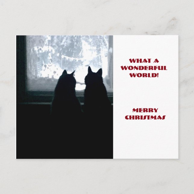 Cartão Postal De Festividades What a wonderful world! (Frente)