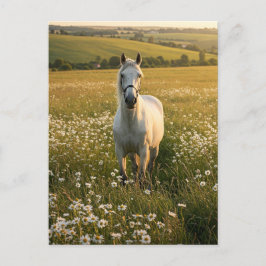 Cartão Postal De Festividades White Horse in Wildflower Meadow Postcard