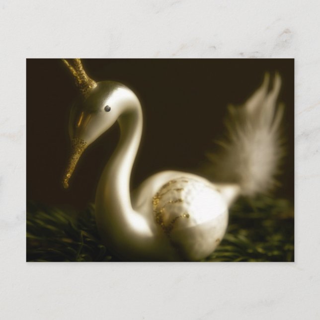 Cartão Postal De Festividades White Swan • Christmas Postcard (Frente)