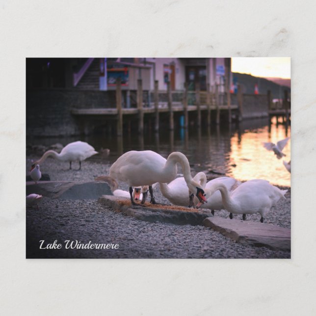 Cartão Postal De Festividades Windermere, Distrito do Lago, Inglaterra (Frente)