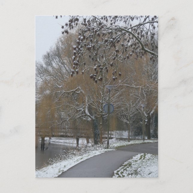 Cartão Postal De Festividades Winter Landscape DIY Postcard (Frente)