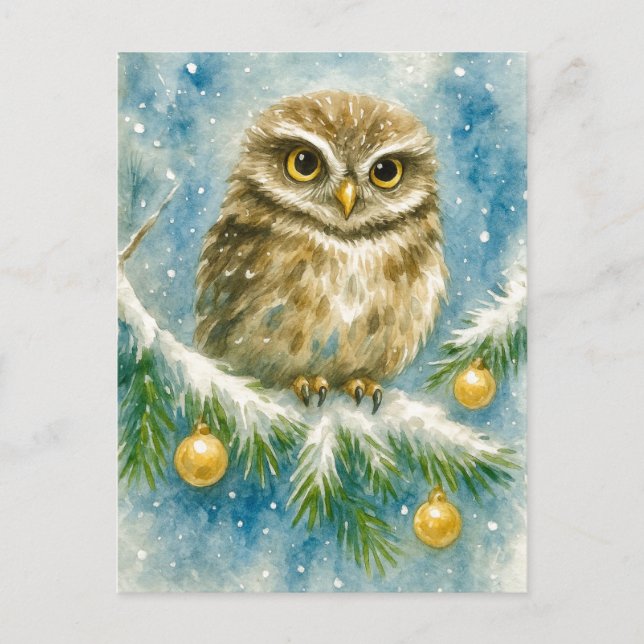 Cartão Postal De Festividades Winter Owl on Snowy Branch Christmas Postcard (Frente)