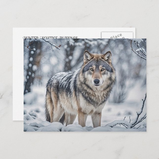 Cartão Postal De Festividades Winter Solstice Yule Wolf in Snow Wildlife (Frente/Verso)