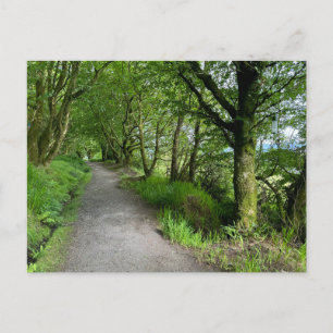 Cartão Postal De Festividades Woodland Pegpath em Isle of Bute Scotland em um