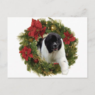 Cartão Postal De Festividades Wreath de Natal Newf Landseer