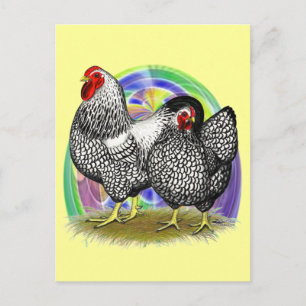 Cartão Postal De Festividades Wyandotte: Par de Ovos de Páscoa