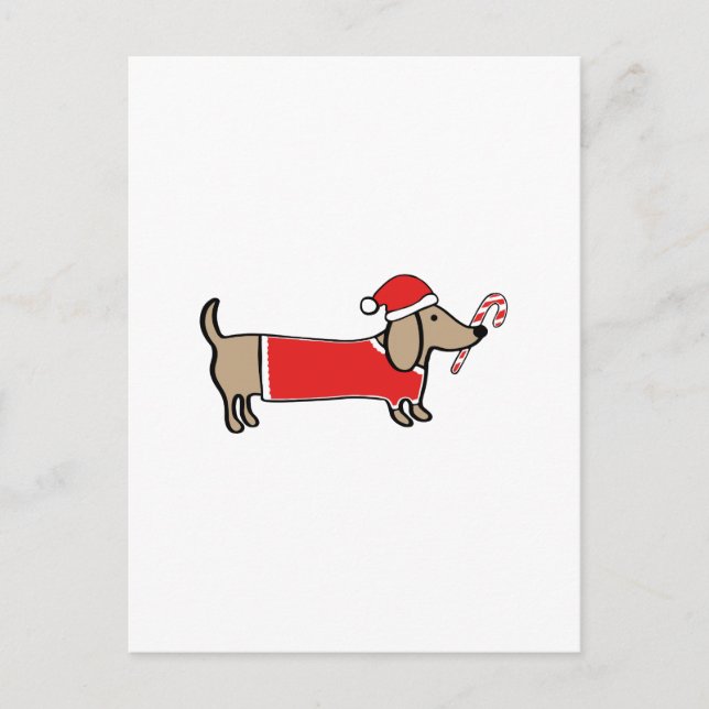 Cartão Postal De Festividades Xmas dachshund (Frente)