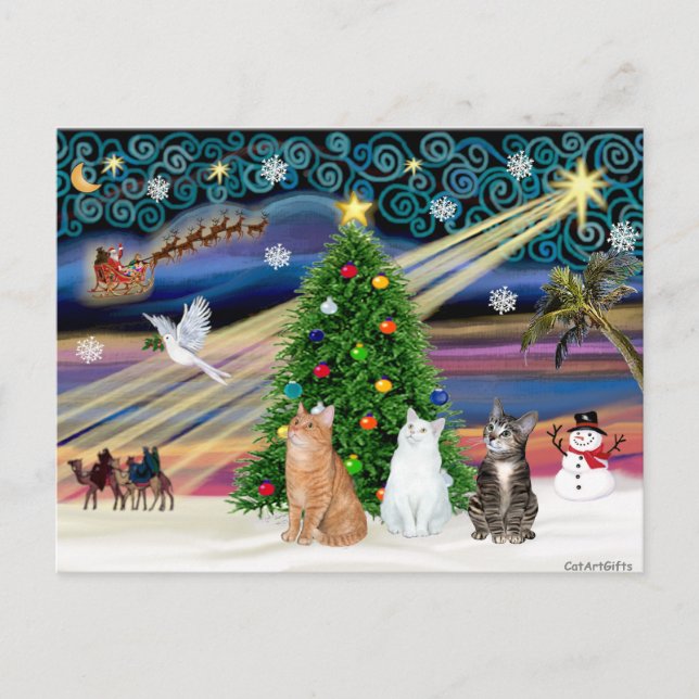 Cartão Postal De Festividades Xmas Magic - 3 gatos (2 comprimidos - branco) (Frente)