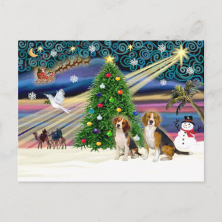 Cartão Postal De Festividades Xmas Magic Beagle Pair