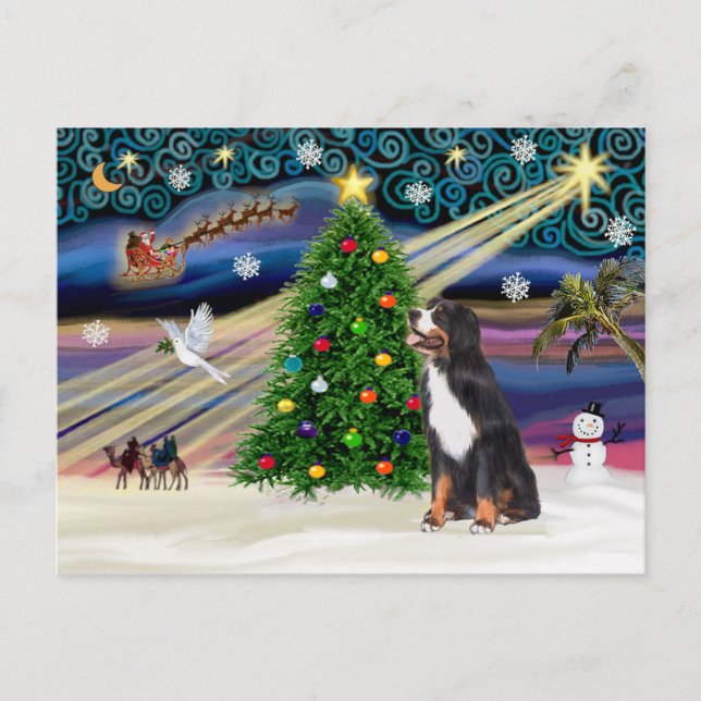 Cartão Postal De Festividades Xmas Magic-Bernese Mountain Dog (Frente)