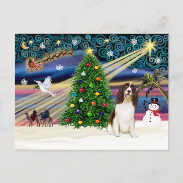 Cartão Postal De Festividades Xmas Magic-English Springer (Frente)