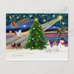 Cartão Postal De Festividades Xmas Magic-Jack Russell Pair2