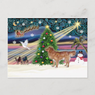 Cartão Postal De Festividades Xmas Magic-NovaScotia-stand