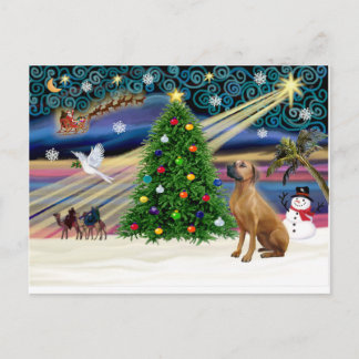 Cartão Postal De Festividades Xmas Magic-Rhodesian Ridgeback-lkup