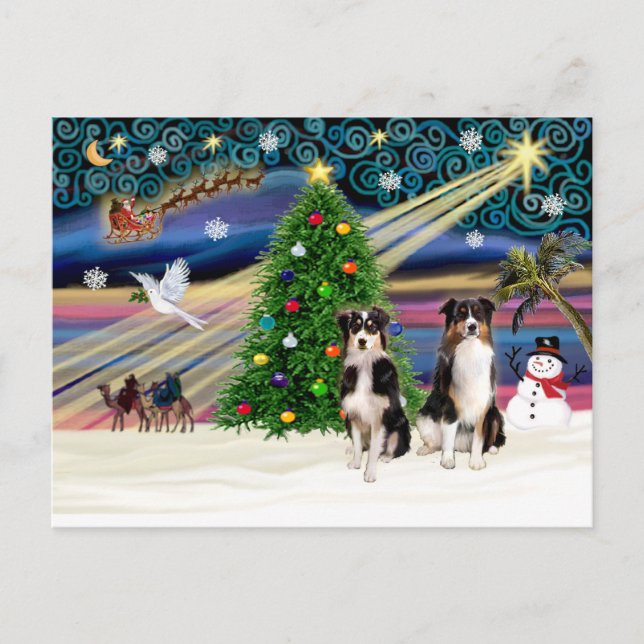 Cartão Postal De Festividades Xmas Magic-Tri-AussieShepPAIR-6-7 (Frente)