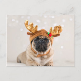 Cartão Postal De Festividades XMas Pug