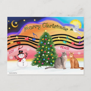 Cartão Postal De Festividades Xmas Sunrise 2 - Two Abyssinian cats