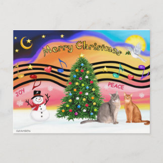 Cartão Postal De Festividades Xmas Sunrise 2 - Two Abyssinian cats
