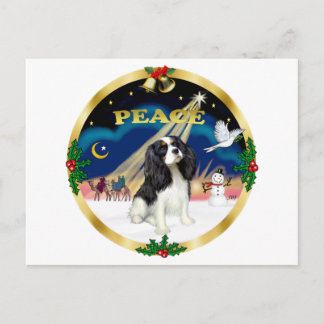 Cartão Postal De Festividades Xmas Sunrise - Cavalier King Charles Tri Color