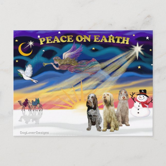 Cartão Postal De Festividades Xmas Sunrise - Três Espinones Italianos (Frente)