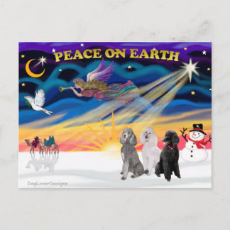 Cartão Postal De Festividades Xmas Sunrise - Três Poodles Standard