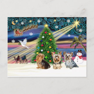 Cartão Postal De Festividades XmasMagic Yorkie Trio