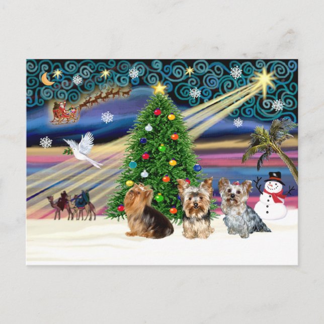 Cartão Postal De Festividades XmasMagic Yorkie Trio (Frente)