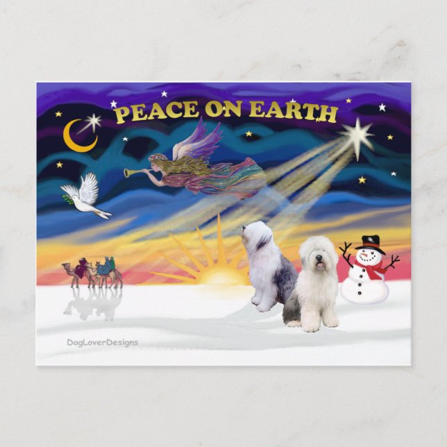 Cartão Postal De Festividades XmasSunrise-Two-Old English Sheepdog (Frente)
