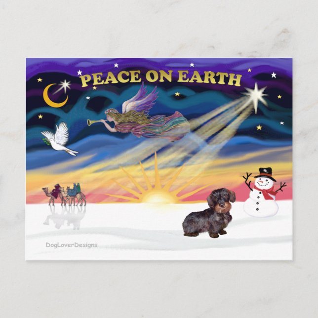 Cartão Postal De Festividades XmasSunrise-WireHaired Dachshund (Frente)