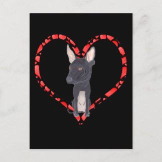 CARTÃO POSTAL DE FESTIVIDADES XOLOITZCUINTLE HEART