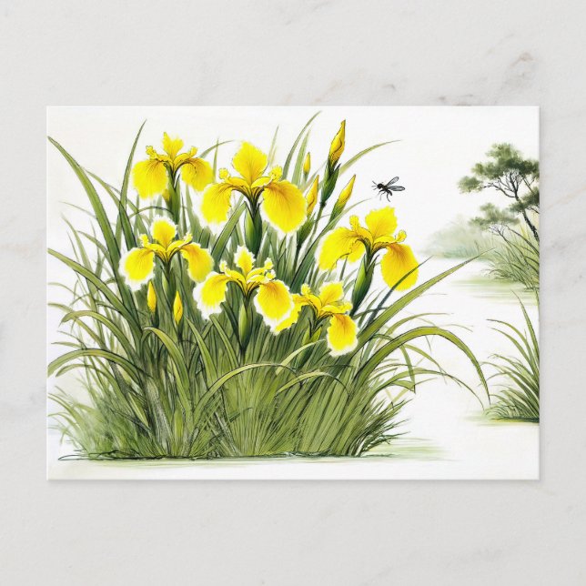 Cartão Postal De Festividades Yellow Iriss Asian Ink Painting (Frente)