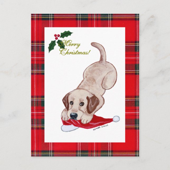 Cartão Postal De Festividades Yellow Labrador Christmas Santa Hat Tartan (Frente)