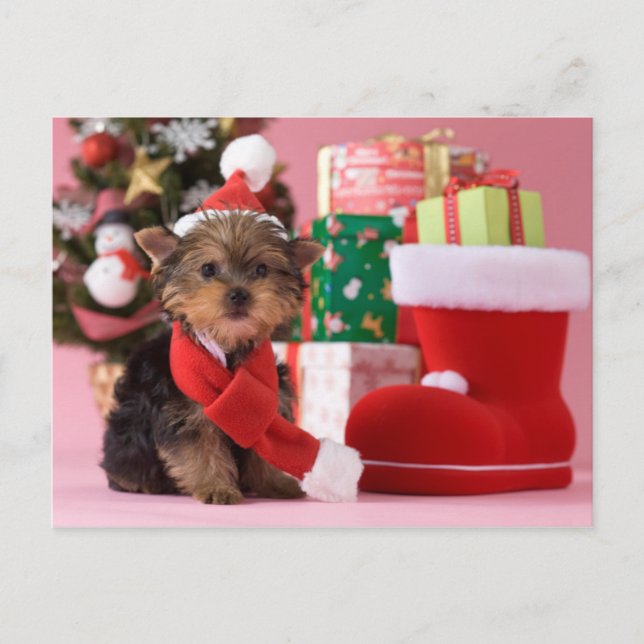 Cartão Postal De Festividades Yorkshire Terrier Puppy and Christmas (Frente)