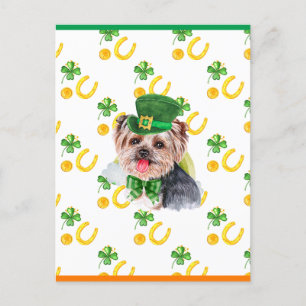Cartão Postal De Festividades Yorkshire Terrier Trevo Dia de São Patrício