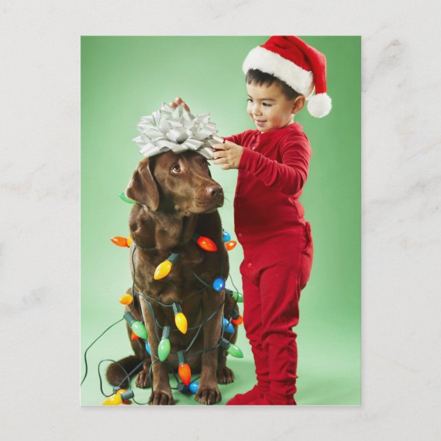 Cartão Postal De Festividades Young boy wrapping Christmas lights around a dog (Frente)