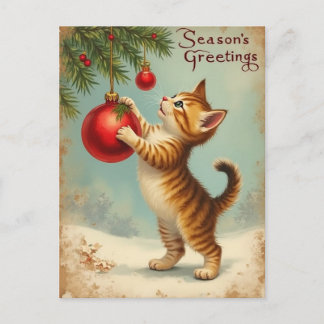 Cartão Postal De Festividades Your Own Text Season’s Greetings Kitten Postcard