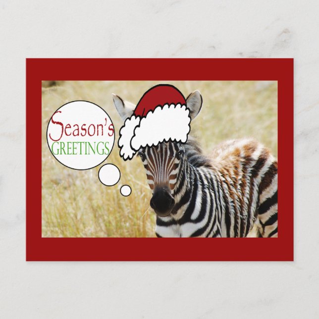 Cartão Postal De Festividades Zebra Christmas Seasons Saudações (Frente)