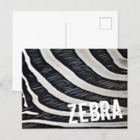 Zebra fur Design preto e branco para Amante de os 