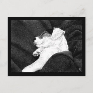 Cartão Postal de Filhote de Jack Russell Terrier -