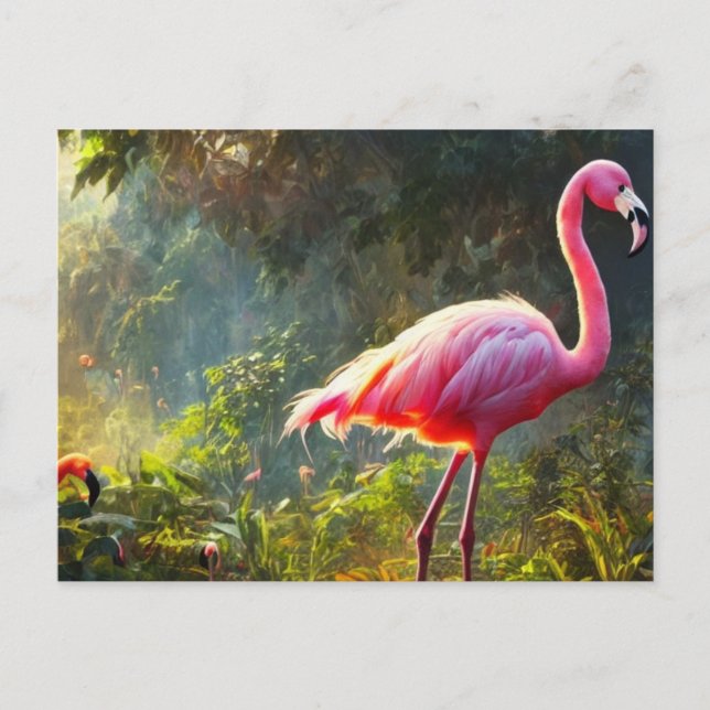 Cartão postal de Flamingo (Frente)
