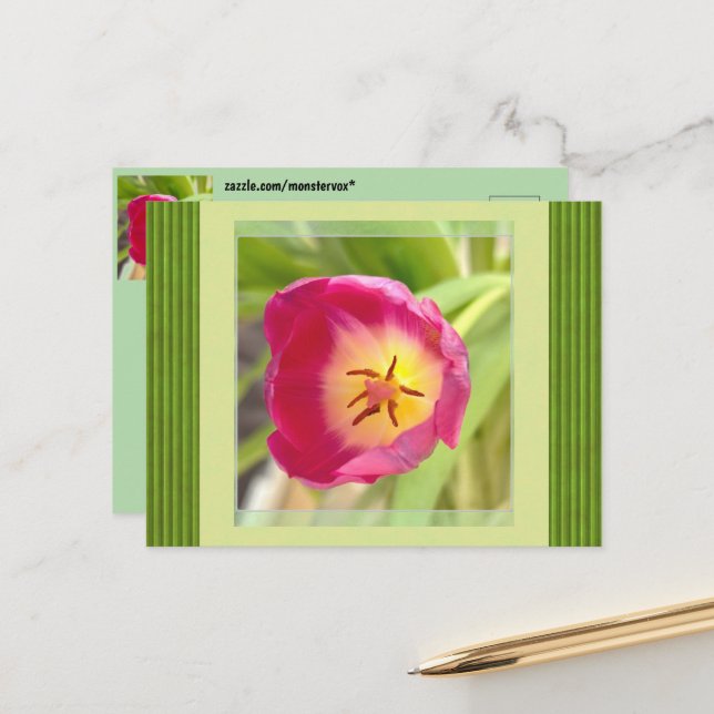 Cartão Postal de Flor (Frente/Verso In Situ)