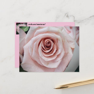 Cartão Postal de Flor
