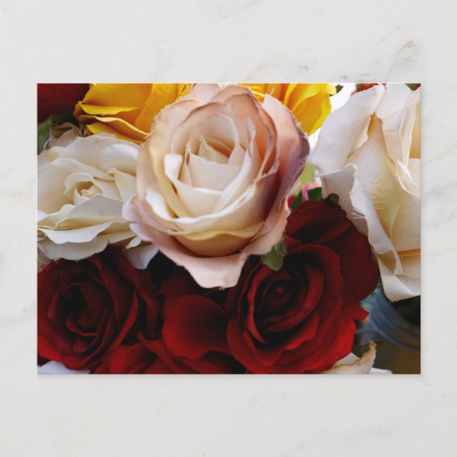 Cartão Postal de Flor de Aquarela Simples (Frente)