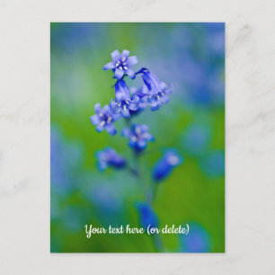 Cartão postal de flor de campainha azul