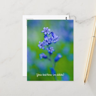 Cartão postal de flor de campainha azul