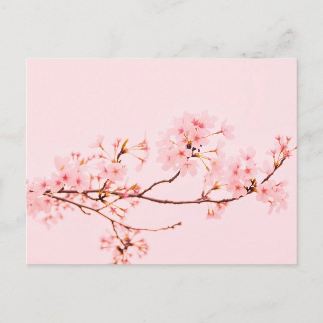 Cartão postal de flor de mármore rosa (Frente)